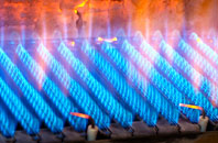 Wellroyd gas fired boilers
